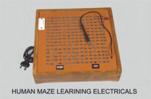 Human Maze Learning