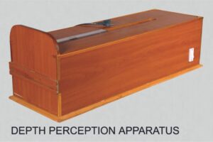 Depth Perception Apparatus