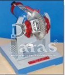 DIFFERNTIAL GEAR - ACTUAL CUT SECTION (Working Model)