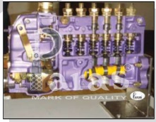 Diesel Fuel Pump - Actual Cut Section