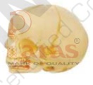 Infant Skull Model