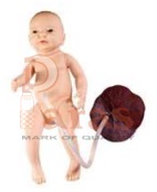 Baby with Placenta and Umbilical Cord