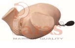 Leopold's Maneuvers
Anal And Vaginal Examination
Simulator