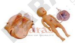 Advanced Delivery Mechanism Demonstration Simulator