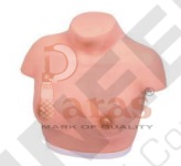 Breast Inspection Model