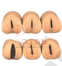 Labour Delivery Model