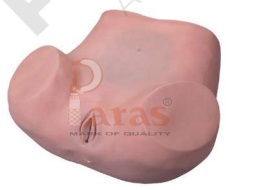 Gynaecological Training Model
