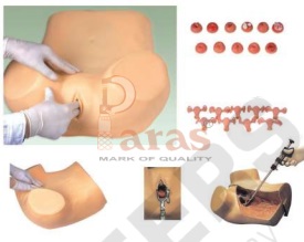 Basic Gynecological Examination Simulator