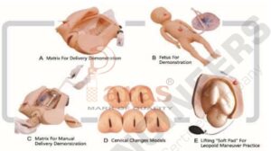 Advanced Abdominal Palpation And Delivery
Mechanism Integrated Simulator
