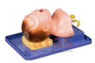 Neonate Intubation Training Model