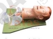 Multifunction Airway
Management Model