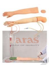 Multifunctional Adult IV
Training Arm Model