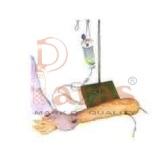 Multifunctional Child IV
Arm