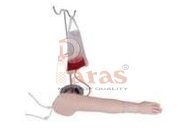 Multifunctional
Intravenous Injection Arm Model