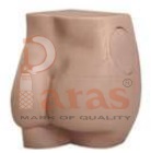 Buttocks Intramuscular
Injection Model