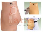 Electronic Buttocks
Injection Training Model