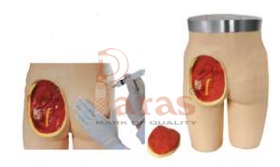 Adult Intramuscular
Injection Training Maninkin