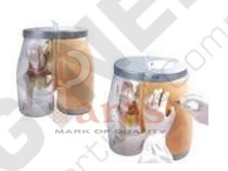 Advanced Buttocks
Intramuscular Injection Simulator