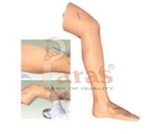 Advanced Surgical Suture
Leg