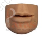 Simulation Lip
Suture Pad