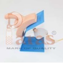 Dressed Male Catheterization Model (Small)