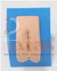 Dressed Female Catheterization Model