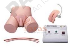 Electronic Unisex Catheterization and Enema Model