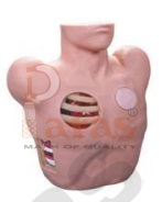 Thoracentesis Drainage Model