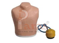 Pneumothorax Training Model