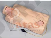 Full Functional Central
Injection Torso Model