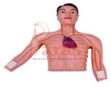 Intervention Simulator