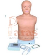 Auscultation Manikin
