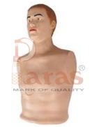 Pericardial Puncture and Intracardiac Injection Simulator