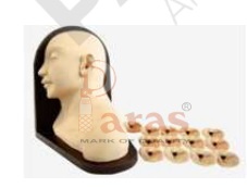 Advanced Ear Inspection Simulator