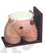 Ostomy Nursing Model