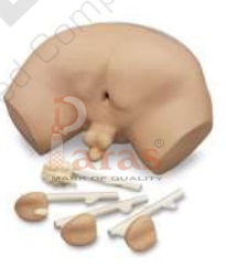 Prostate Examination Simulator