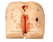 Decubitus Ulcer Care
Simulator