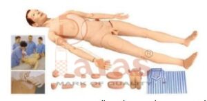 Full Functional Male Nursing Manikin (Unisex with Organs)