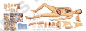 Advanced Nursing and Wound Care Manikin