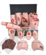 Advanced Trauma Evaluation Model