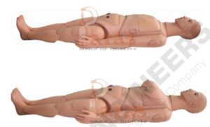 Advanced Unisex Nursing Manikin with Organs