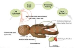 Newborn Baby Simulator