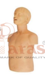 Half Body
CPR Training Manikin