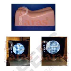 Lumbar Fluoroscopy Manikin