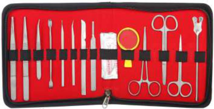 Contraceptive Device