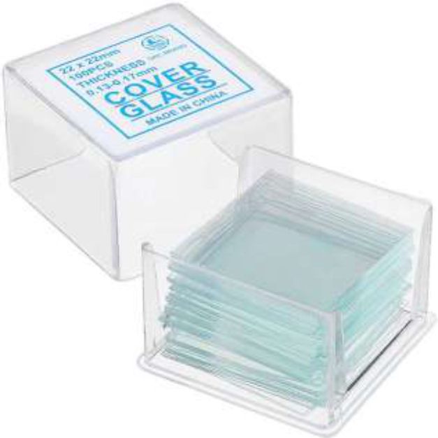 Charts (Pharmacognosy)