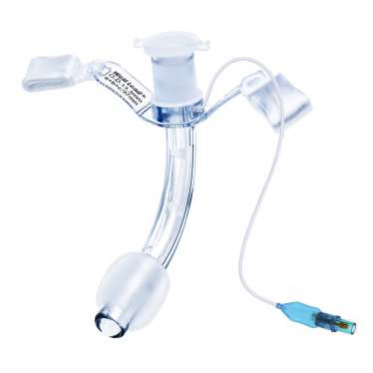 Salivery Duct Cannula :