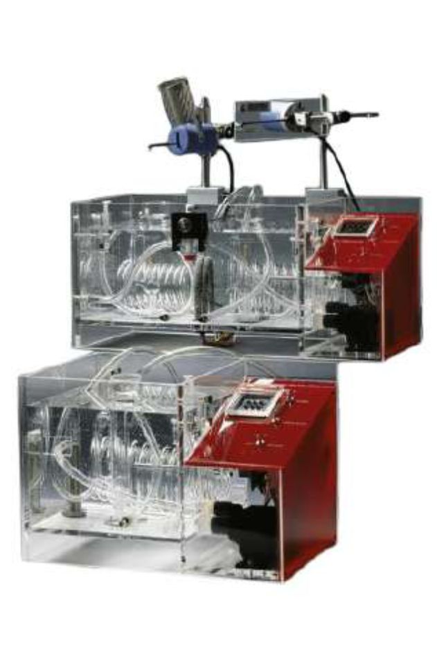 Student Acrylic (glass) Jar Bath