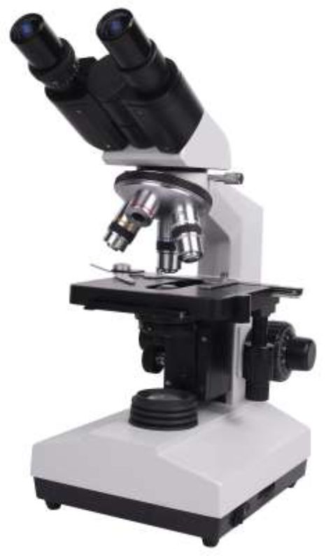 Dissection Microscope