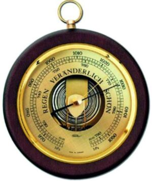 Fortin 's Barometer.